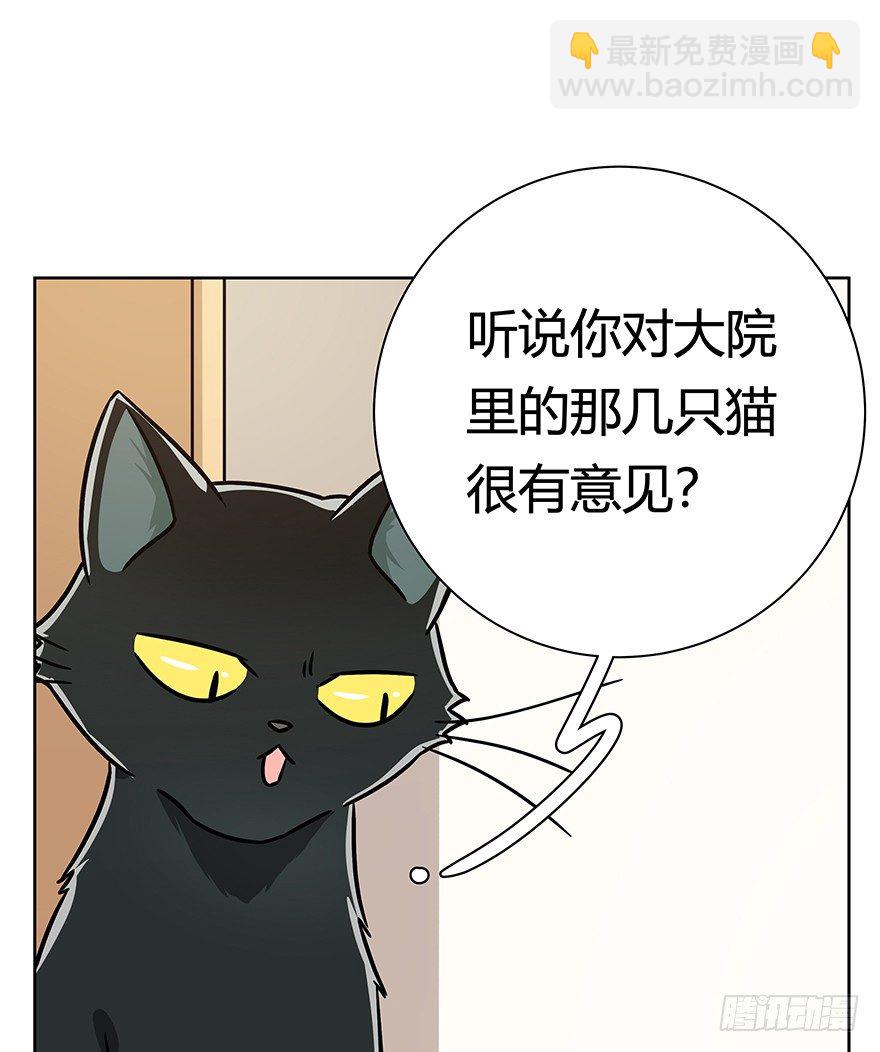 《回到过去变成猫外传》第96爪 猫鼠联盟 第17页