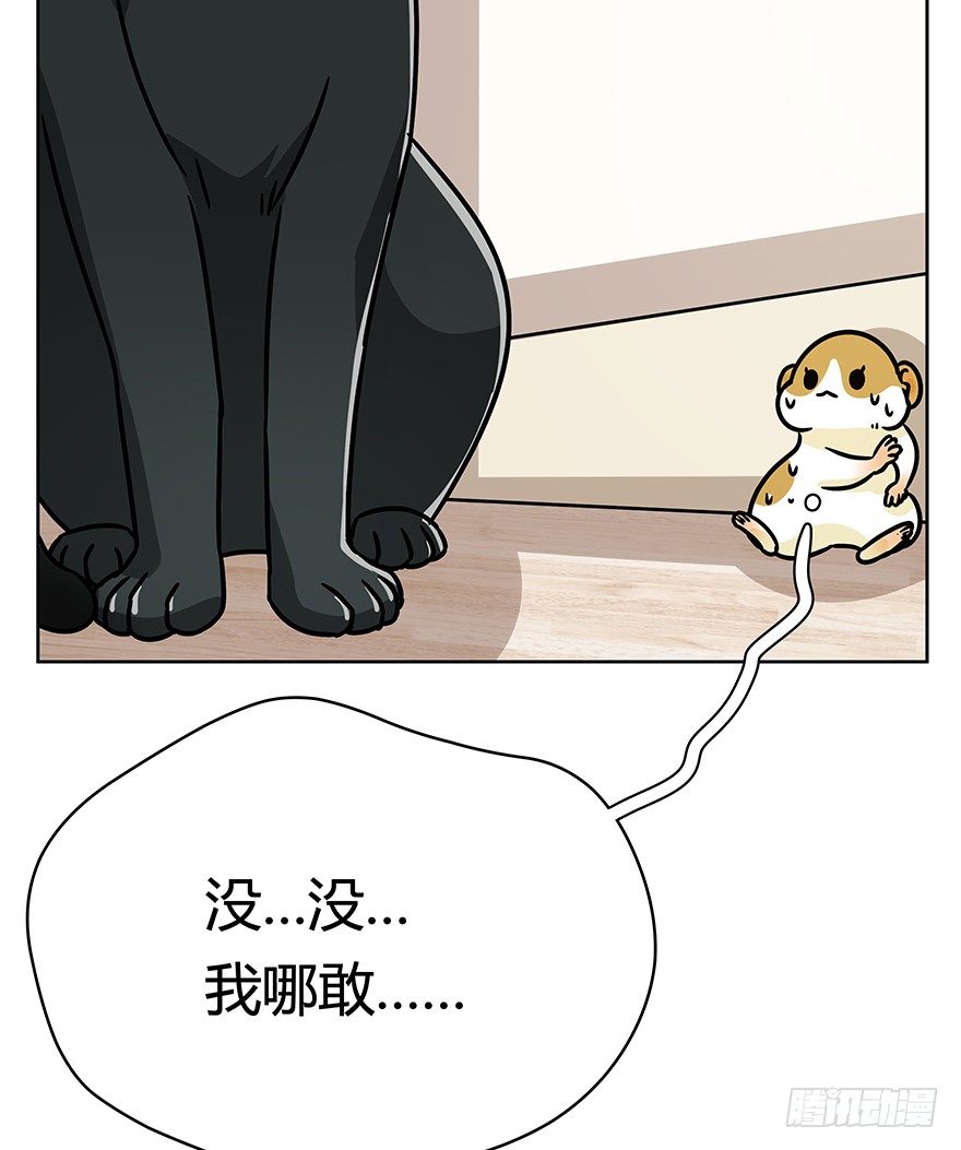 《回到过去变成猫外传》第96爪 猫鼠联盟 第18页