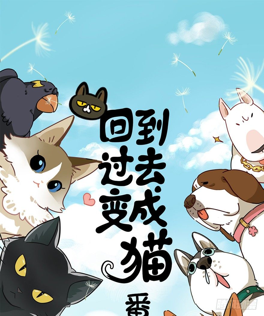 《回到过去变成猫外传》第96爪 猫鼠联盟 第1页