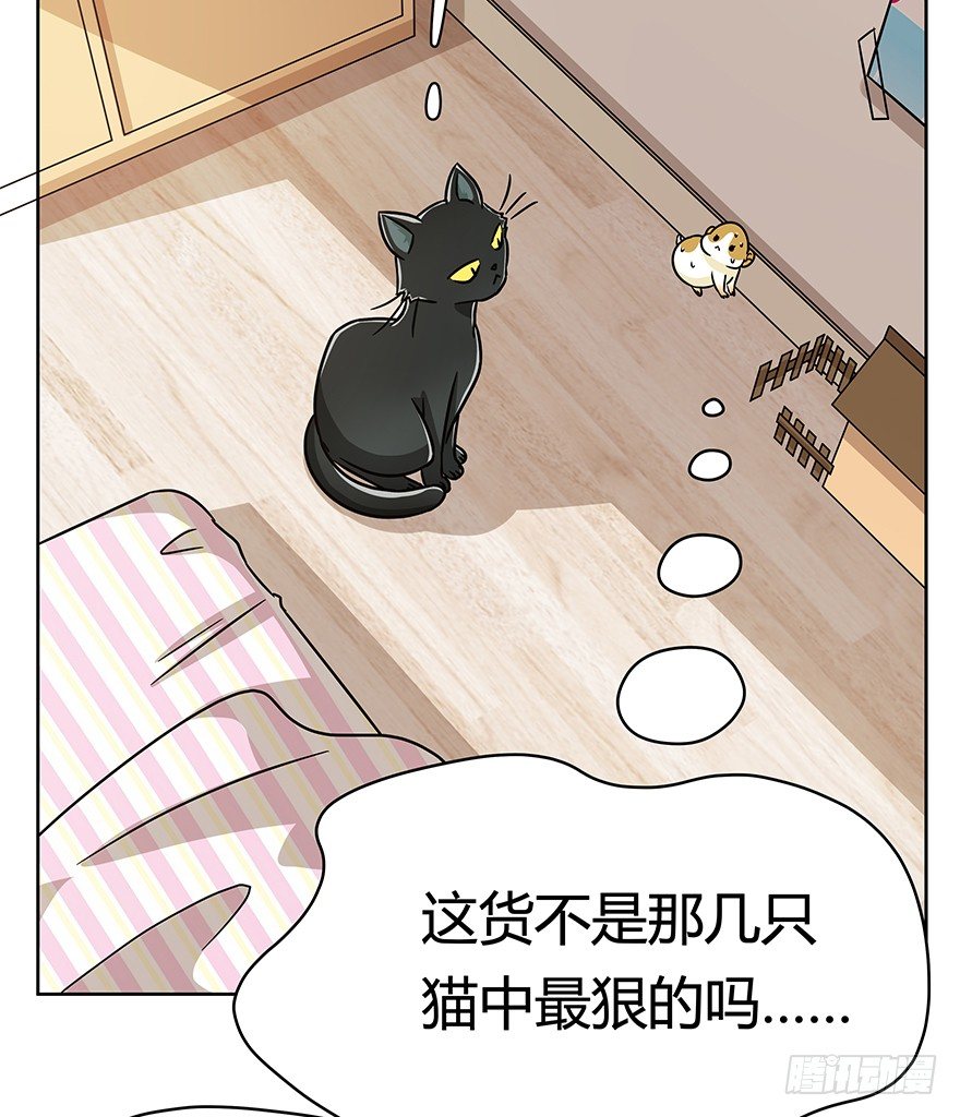 《回到过去变成猫外传》第96爪 猫鼠联盟 第22页