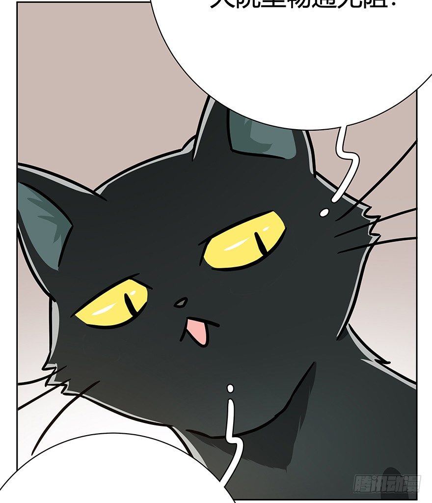 《回到过去变成猫外传》第96爪 猫鼠联盟 第24页