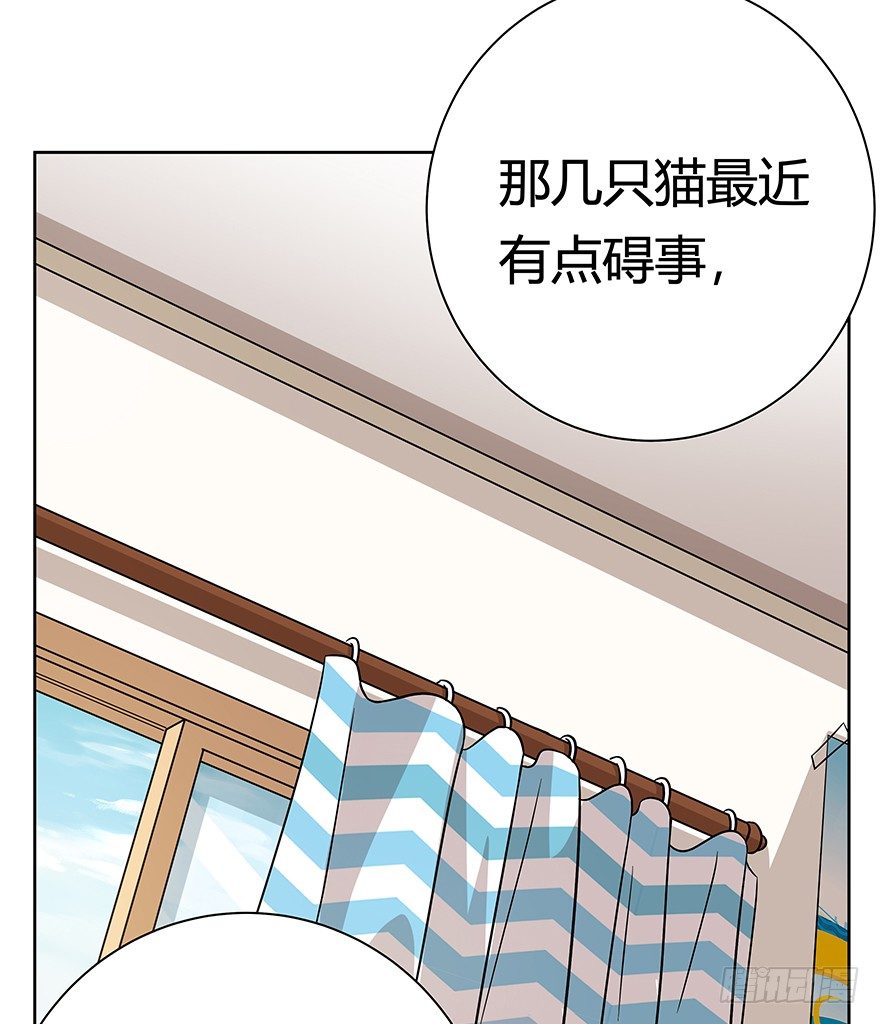 《回到过去变成猫外传》第96爪 猫鼠联盟 第29页