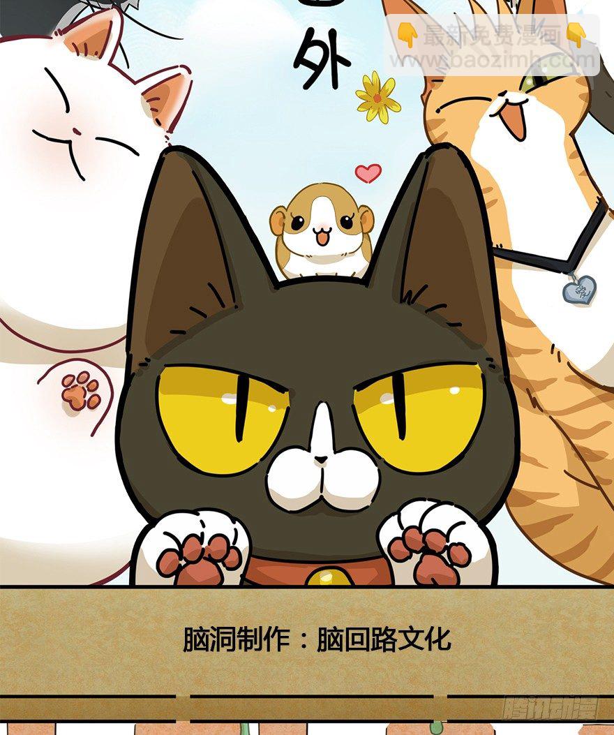 《回到过去变成猫外传》第96爪 猫鼠联盟 第2页