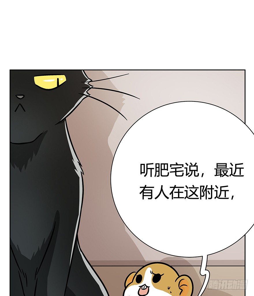 《回到过去变成猫外传》第96爪 猫鼠联盟 第31页
