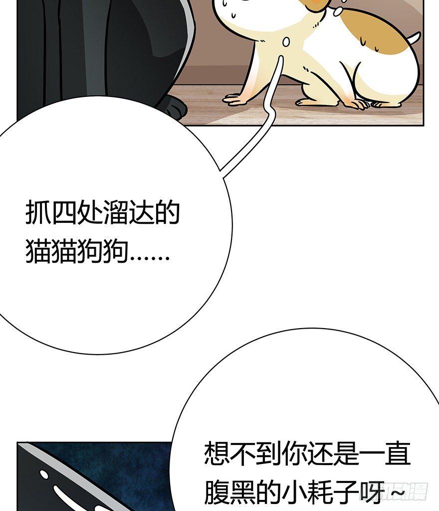 《回到过去变成猫外传》第96爪 猫鼠联盟 第32页