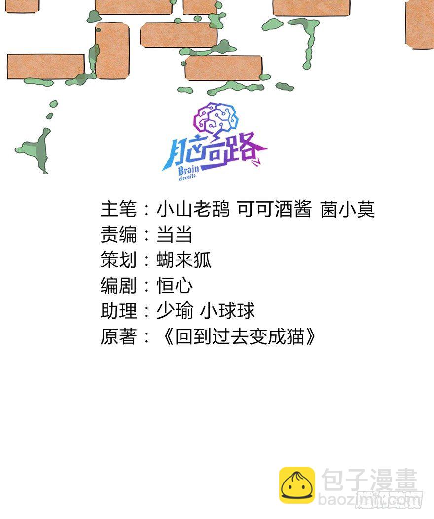 《回到过去变成猫外传》第96爪 猫鼠联盟 第3页