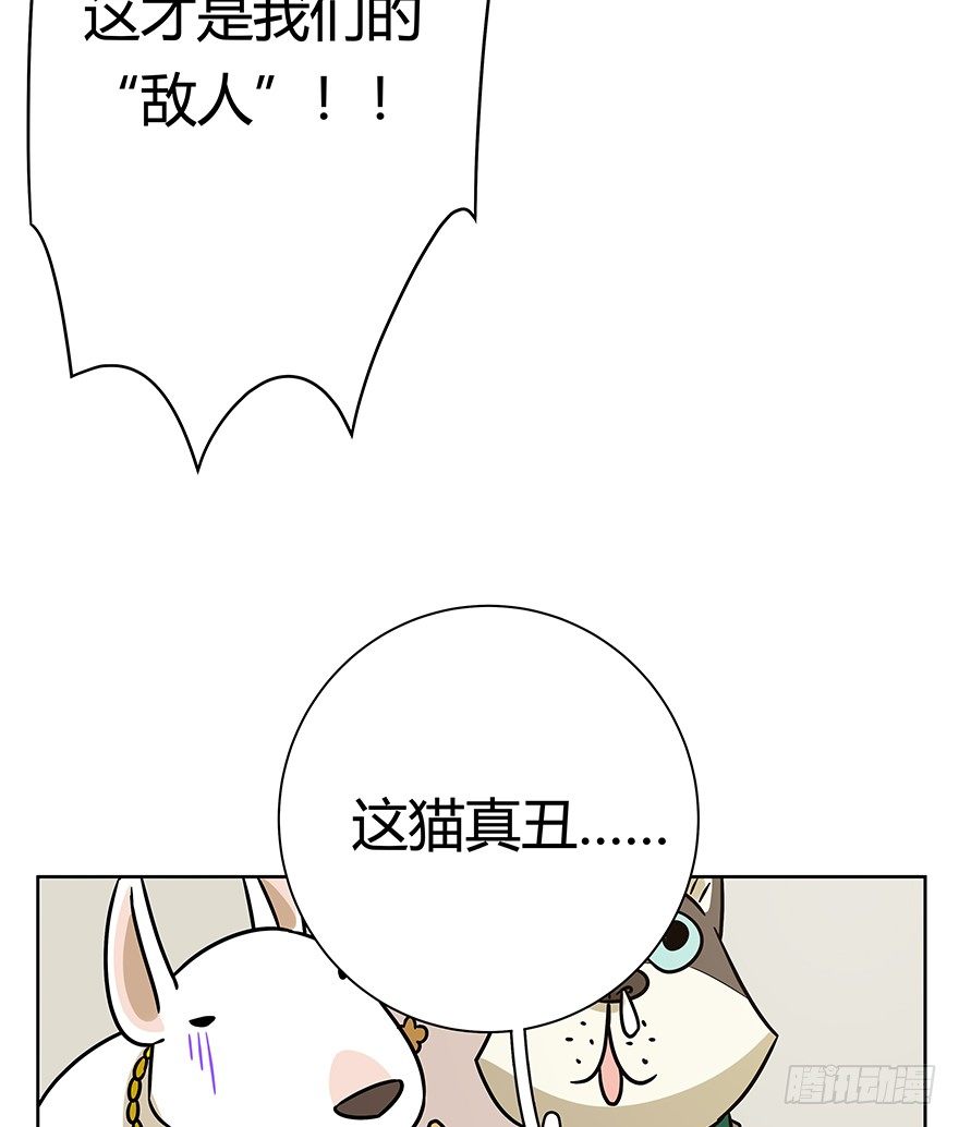 《回到过去变成猫外传》第95爪 “大事情” 第10页