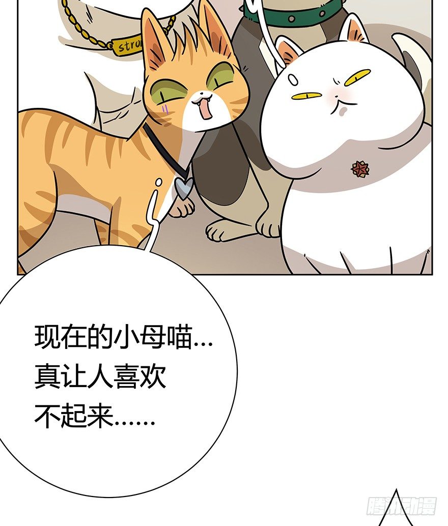 《回到过去变成猫外传》第95爪 “大事情” 第11页