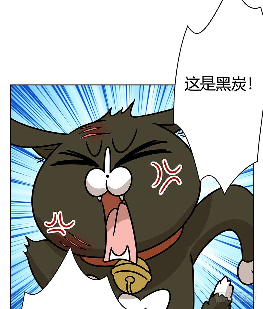 《回到过去变成猫外传》第95爪 “大事情” 第12页