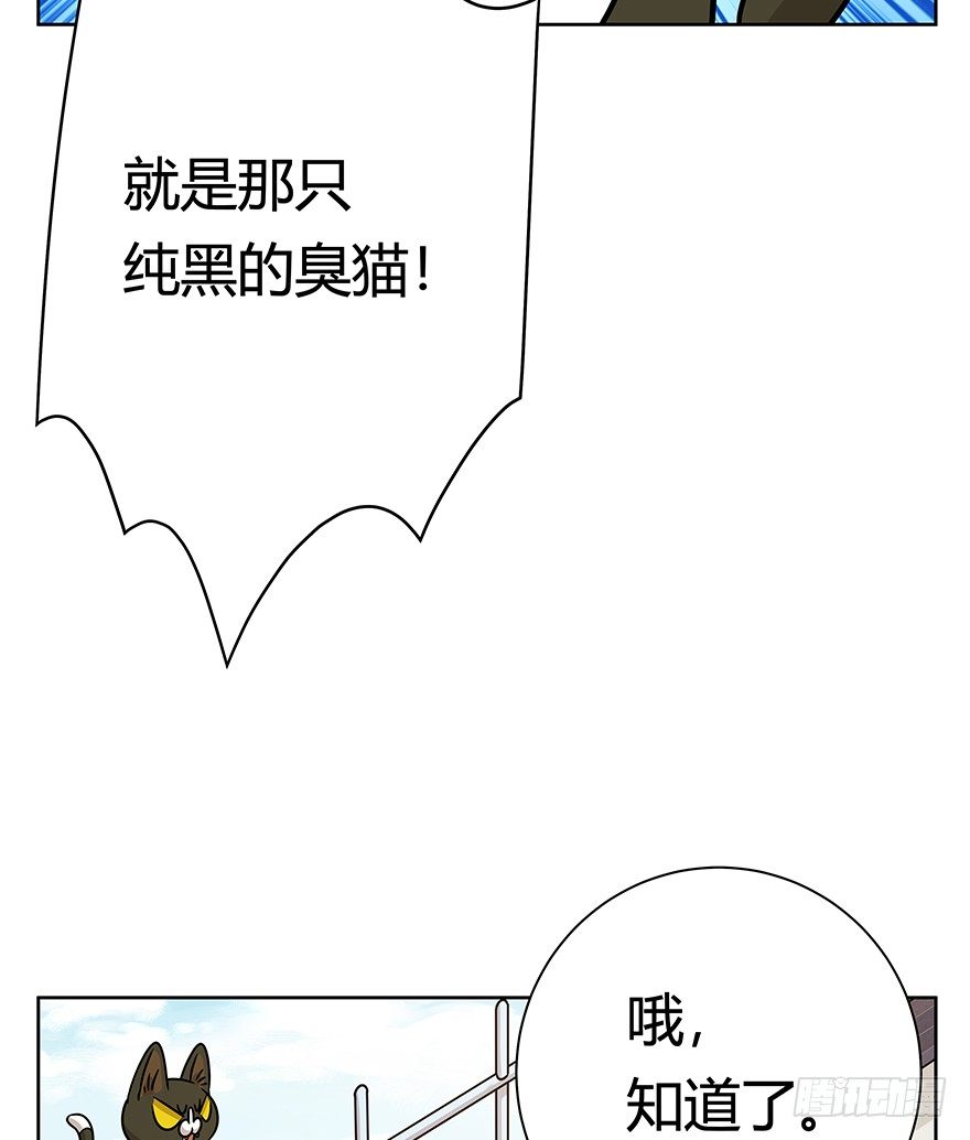 《回到过去变成猫外传》第95爪 “大事情” 第13页
