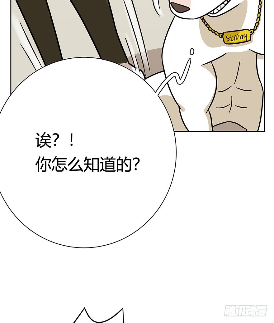《回到过去变成猫外传》第95爪 “大事情” 第16页