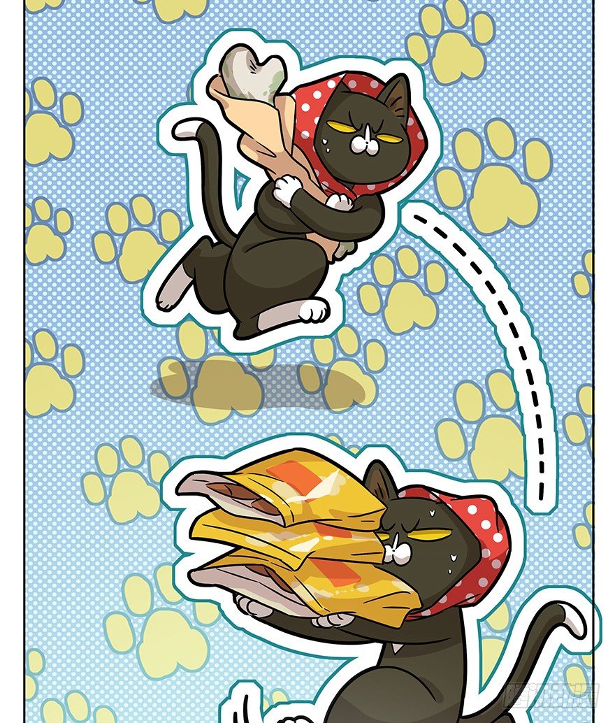 《回到过去变成猫外传》第95爪 “大事情” 第20页