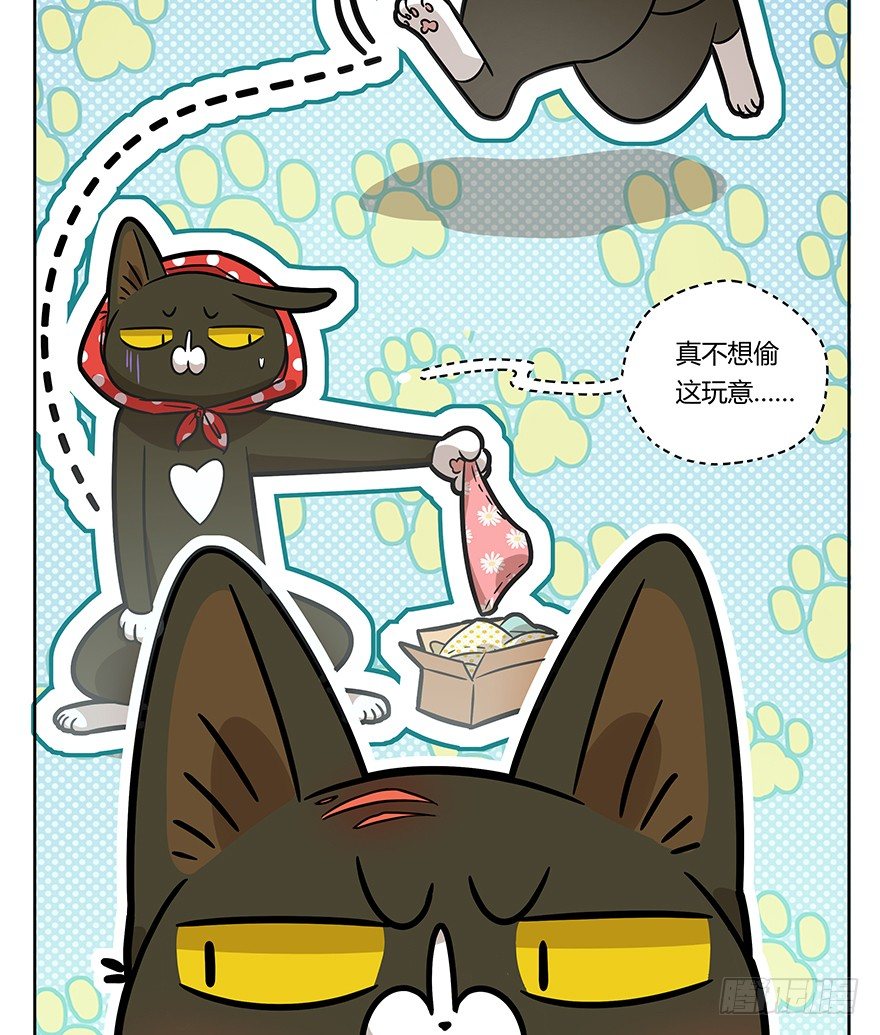 《回到过去变成猫外传》第95爪 “大事情” 第21页