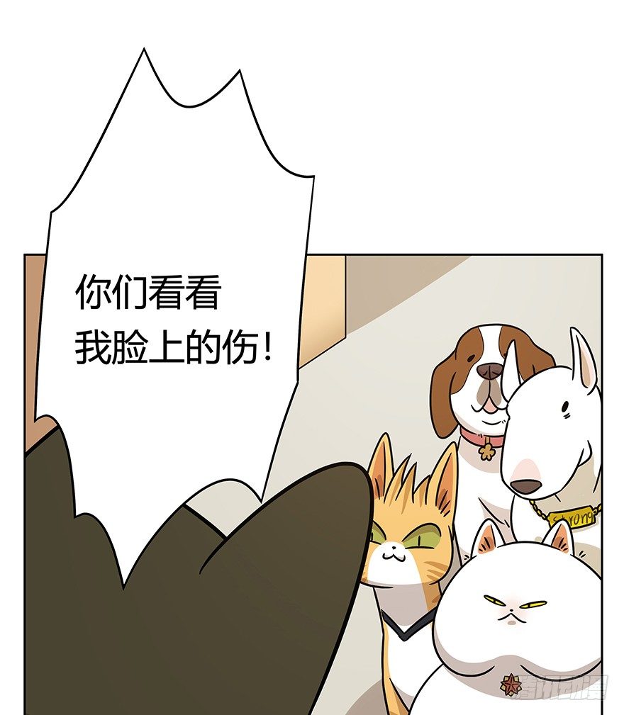 《回到过去变成猫外传》第95爪 “大事情” 第23页