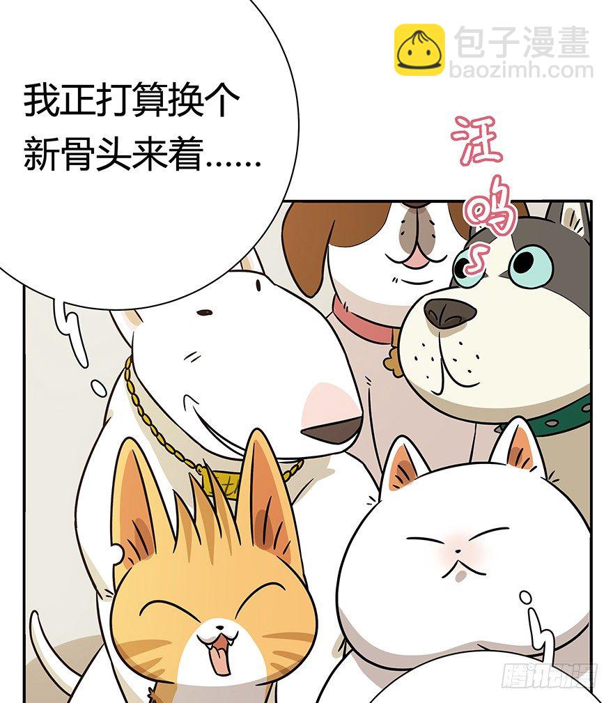 《回到过去变成猫外传》第95爪 “大事情” 第27页