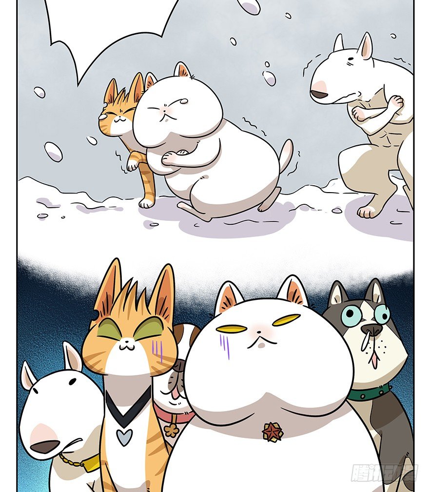 《回到过去变成猫外传》第95爪 “大事情” 第34页