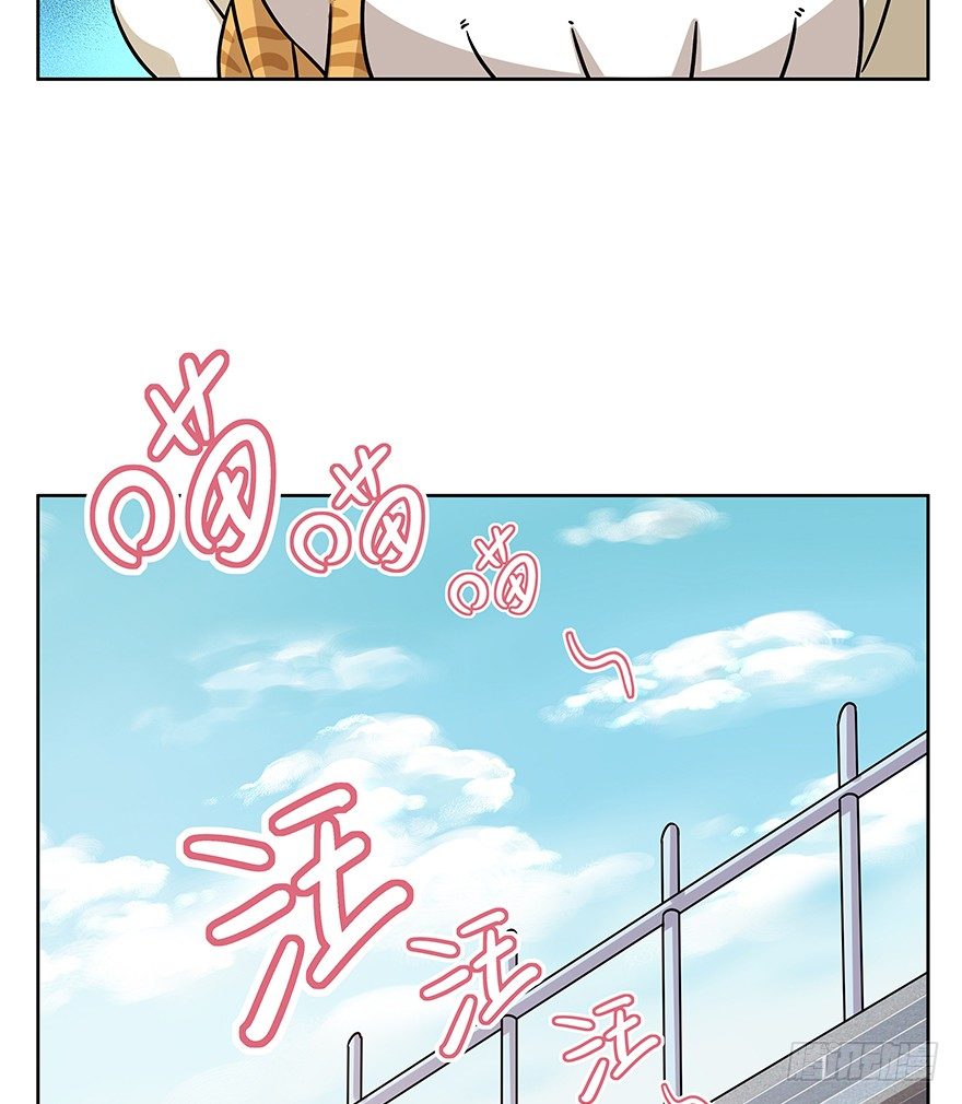 《回到过去变成猫外传》第95爪 “大事情” 第35页