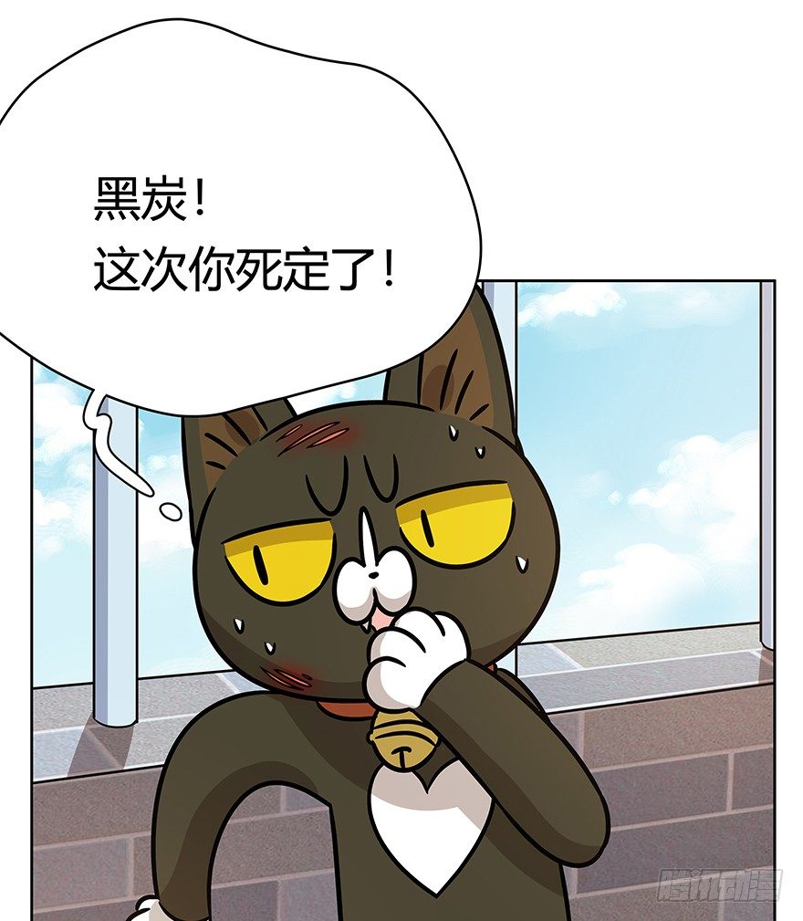 《回到过去变成猫外传》第95爪 “大事情” 第37页