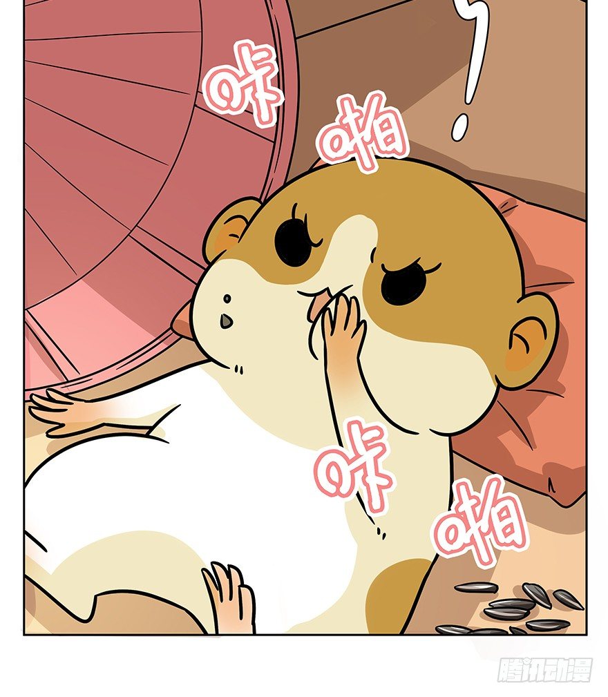 《回到过去变成猫外传》第95爪 “大事情” 第41页