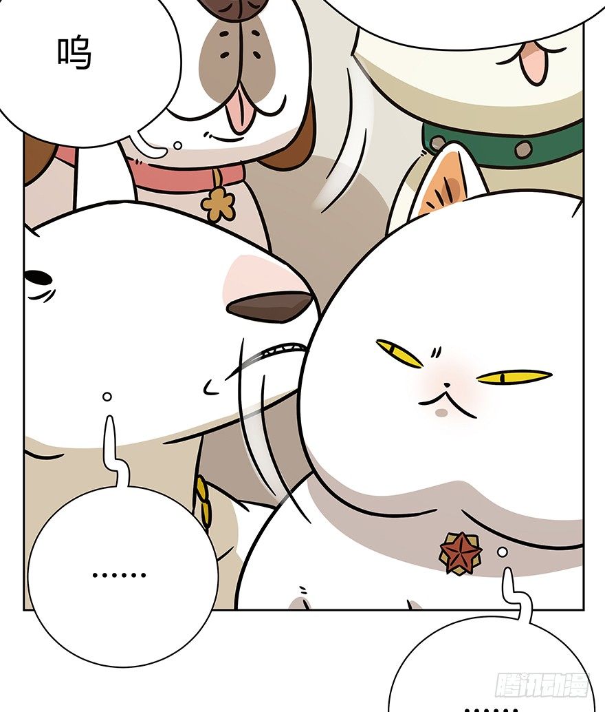 《回到过去变成猫外传》第95爪 “大事情” 第6页