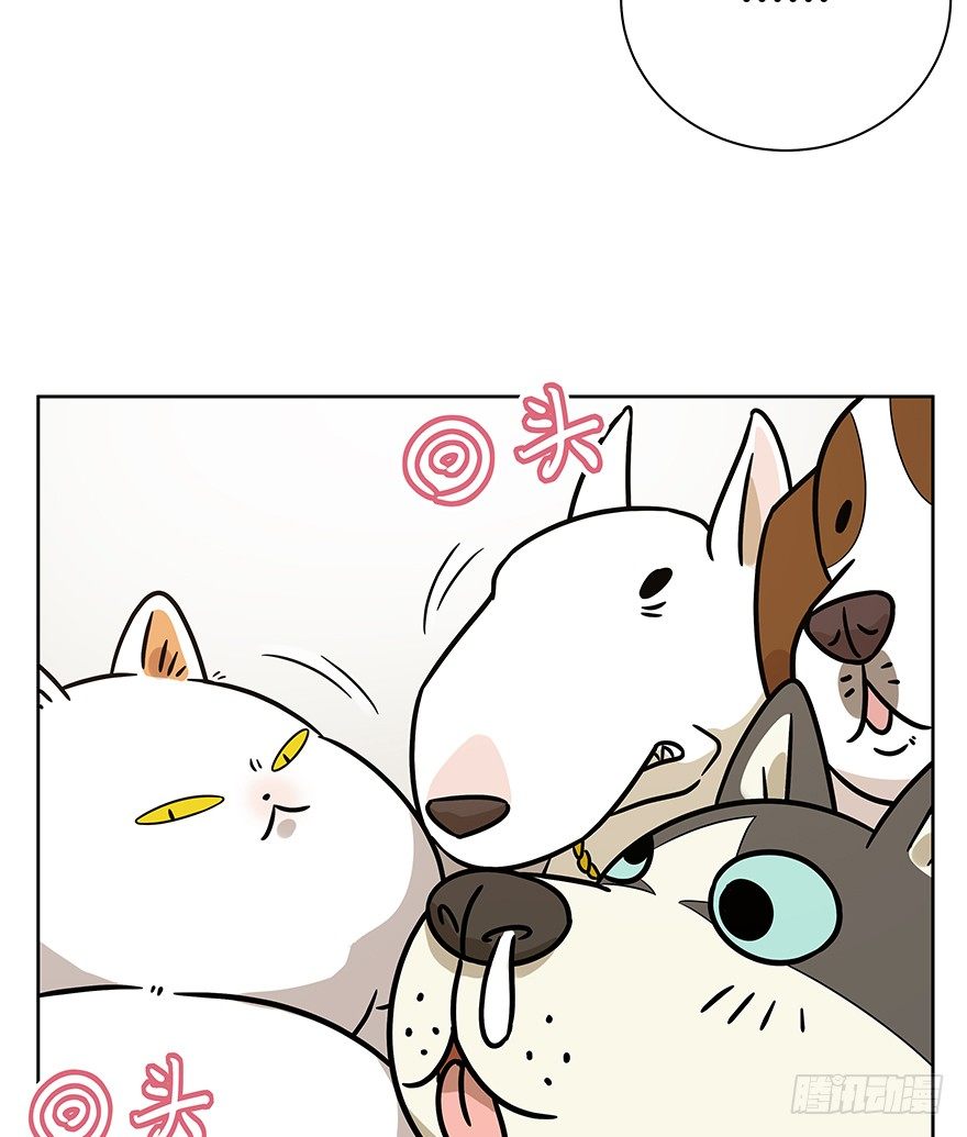 《回到过去变成猫外传》第95爪 “大事情” 第7页