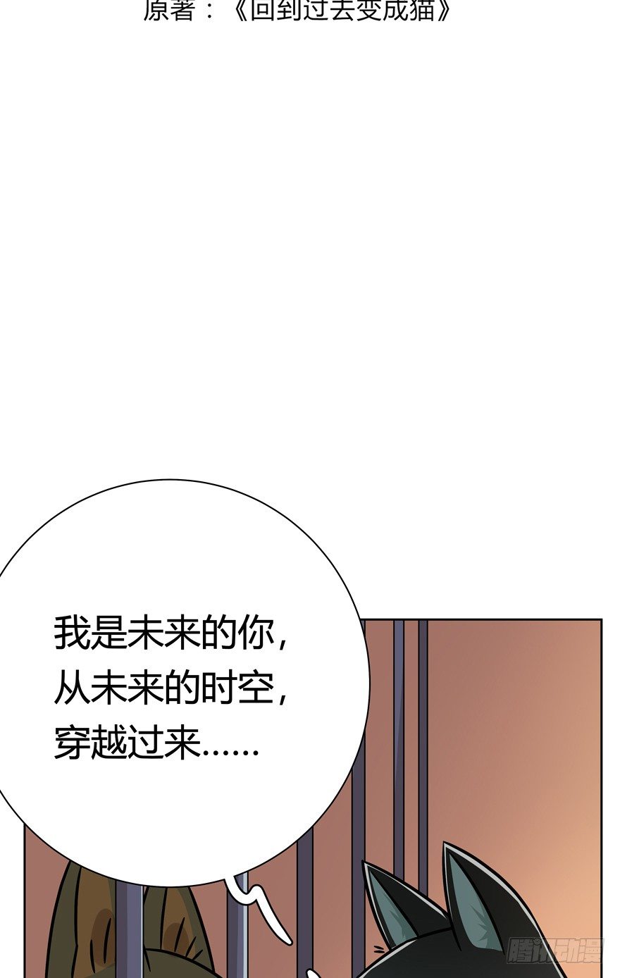 《回到过去变成猫外传》第101爪 另一种人生 第3页