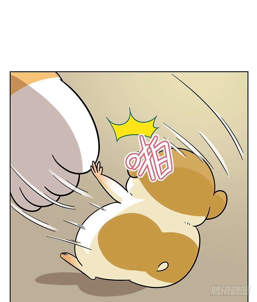 《回到过去变成猫外传》第99爪 中计了 第11页