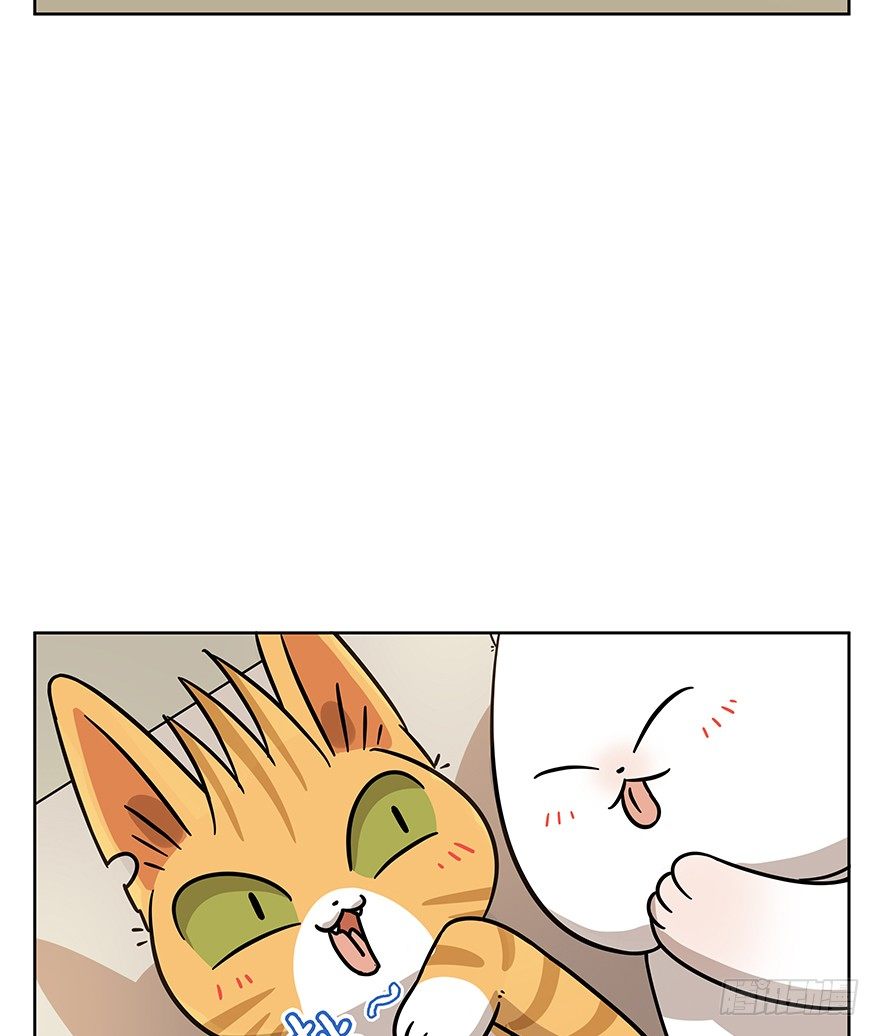 《回到过去变成猫外传》第99爪 中计了 第12页