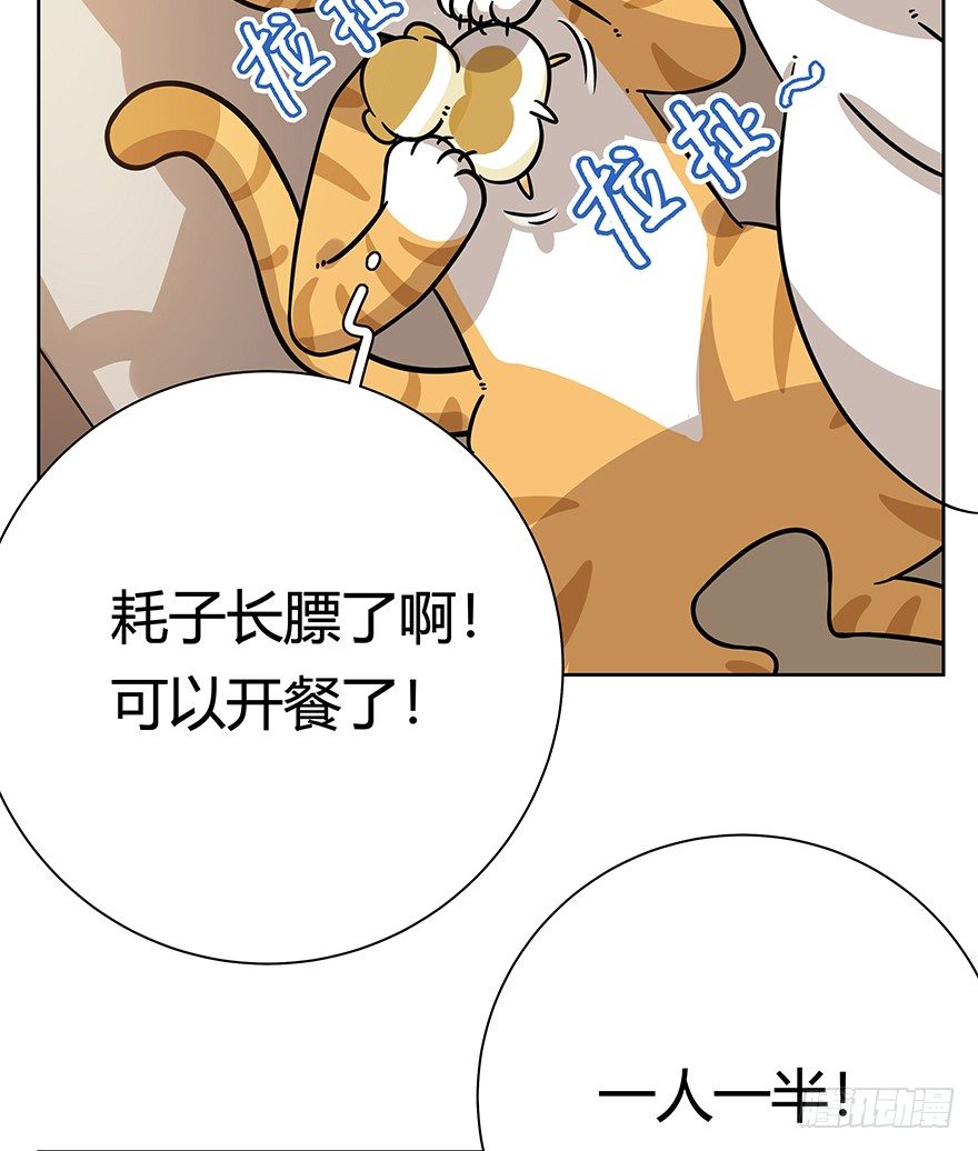 《回到过去变成猫外传》第99爪 中计了 第13页