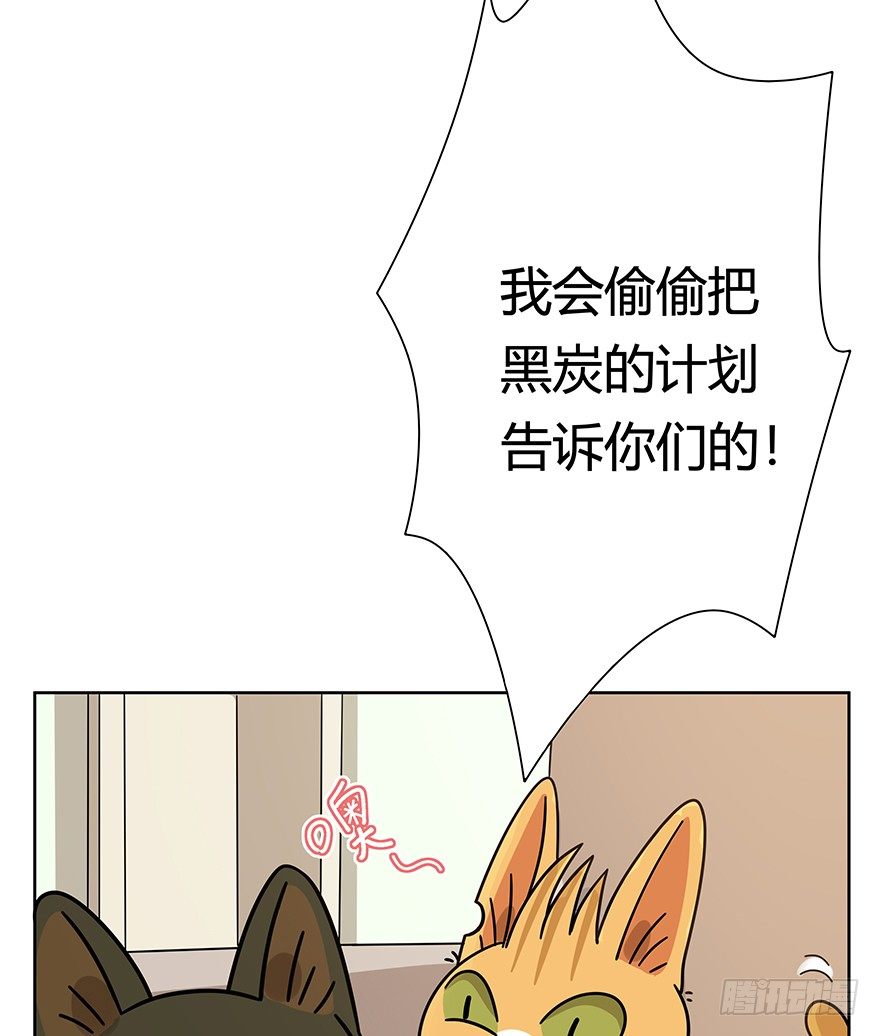 《回到过去变成猫外传》第99爪 中计了 第16页