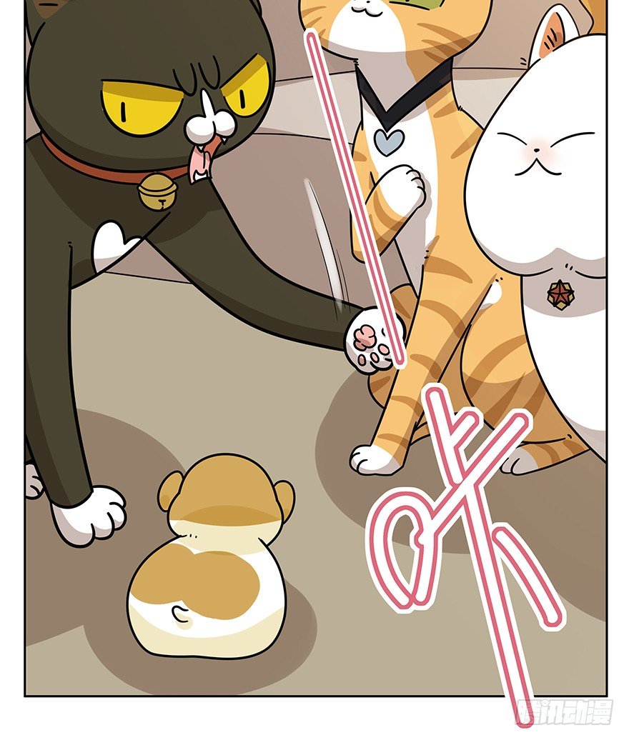 《回到过去变成猫外传》第99爪 中计了 第17页
