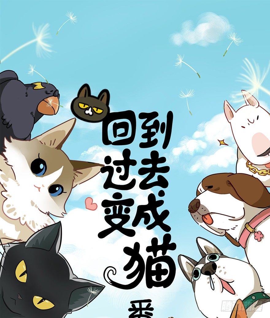 《回到过去变成猫外传》第99爪 中计了 第1页