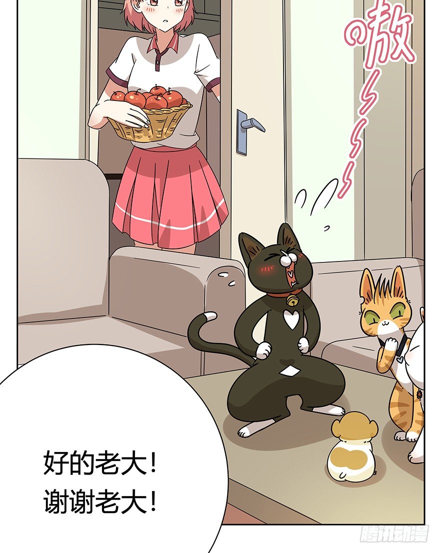 《回到过去变成猫外传》第99爪 中计了 第25页