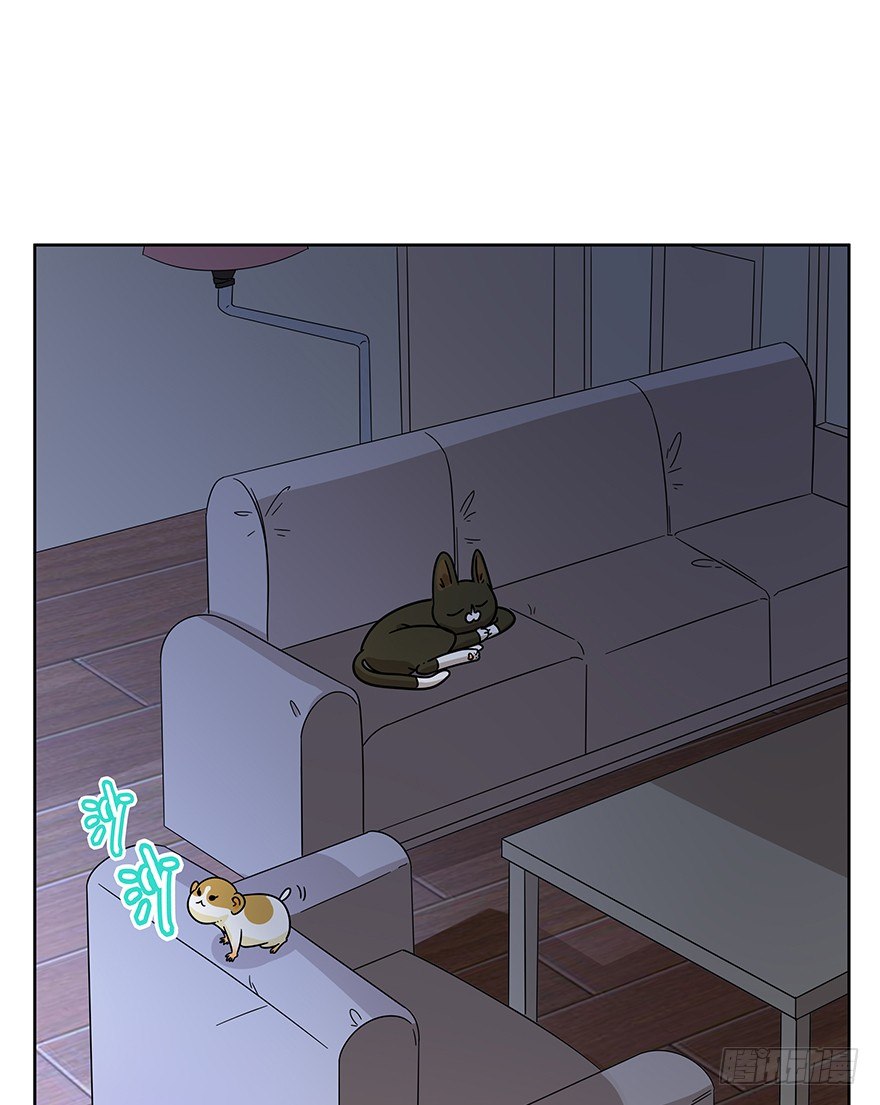 《回到过去变成猫外传》第99爪 中计了 第29页