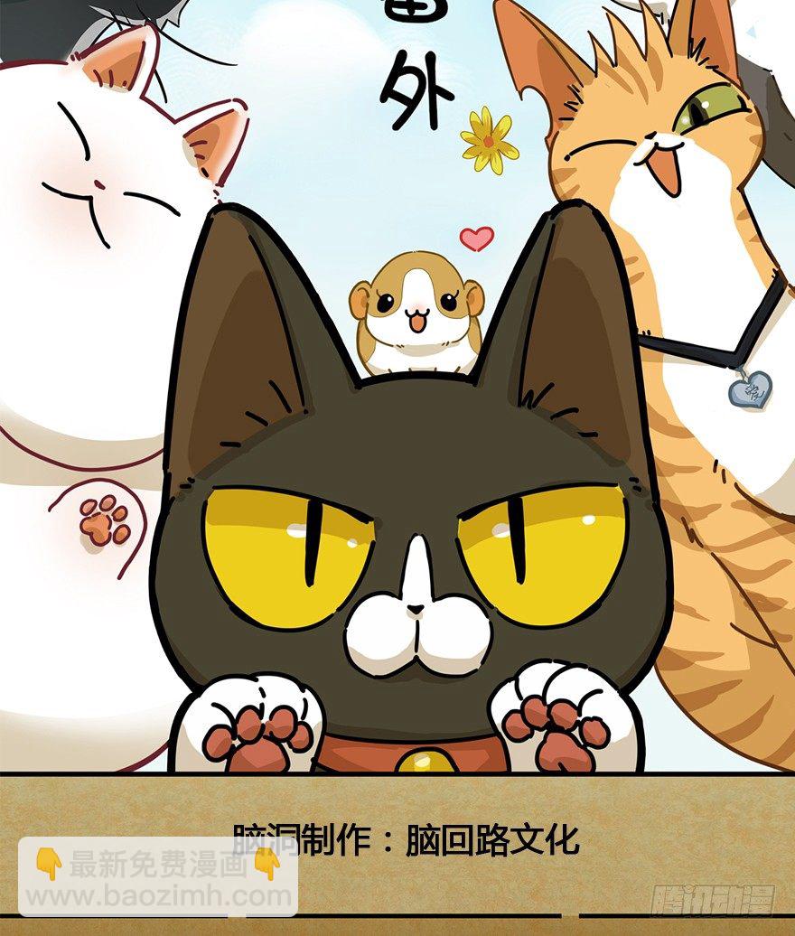 《回到过去变成猫外传》第99爪 中计了 第2页