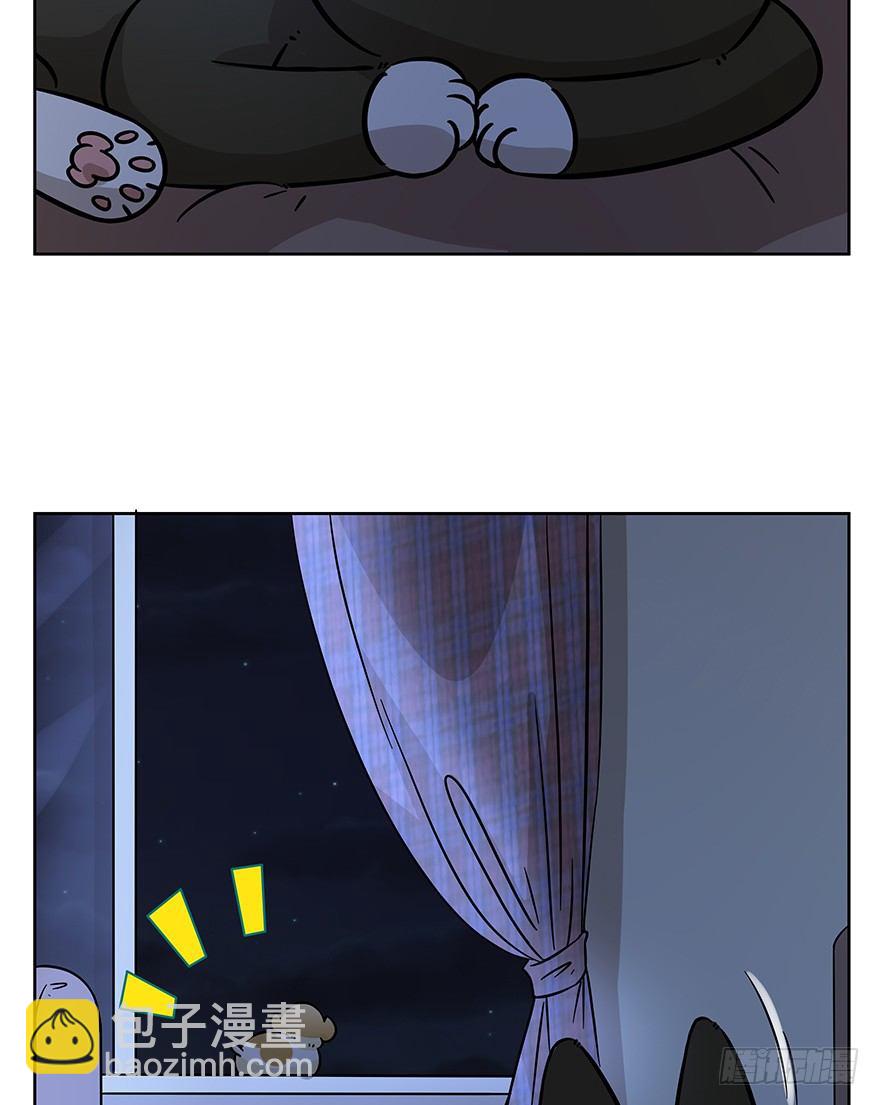 《回到过去变成猫外传》第99爪 中计了 第31页