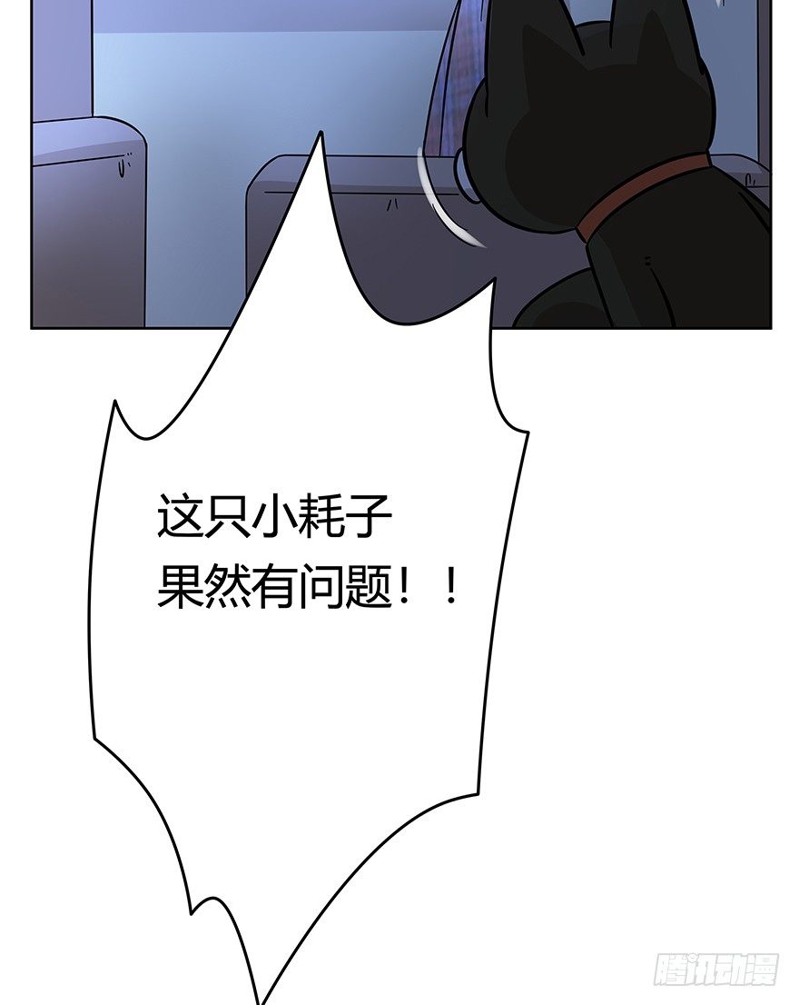 《回到过去变成猫外传》第99爪 中计了 第32页