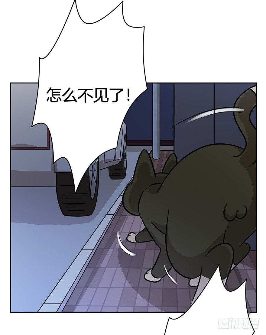 《回到过去变成猫外传》第99爪 中计了 第37页