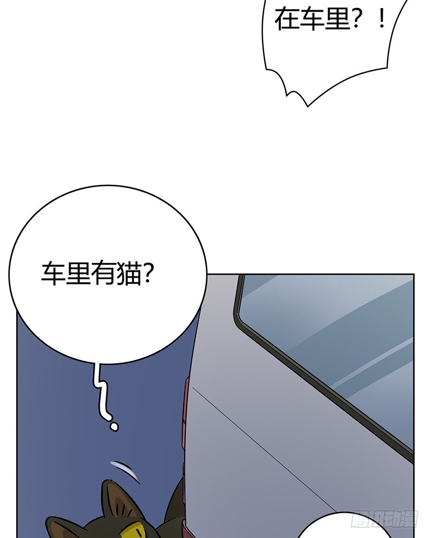 《回到过去变成猫外传》第99爪 中计了 第38页