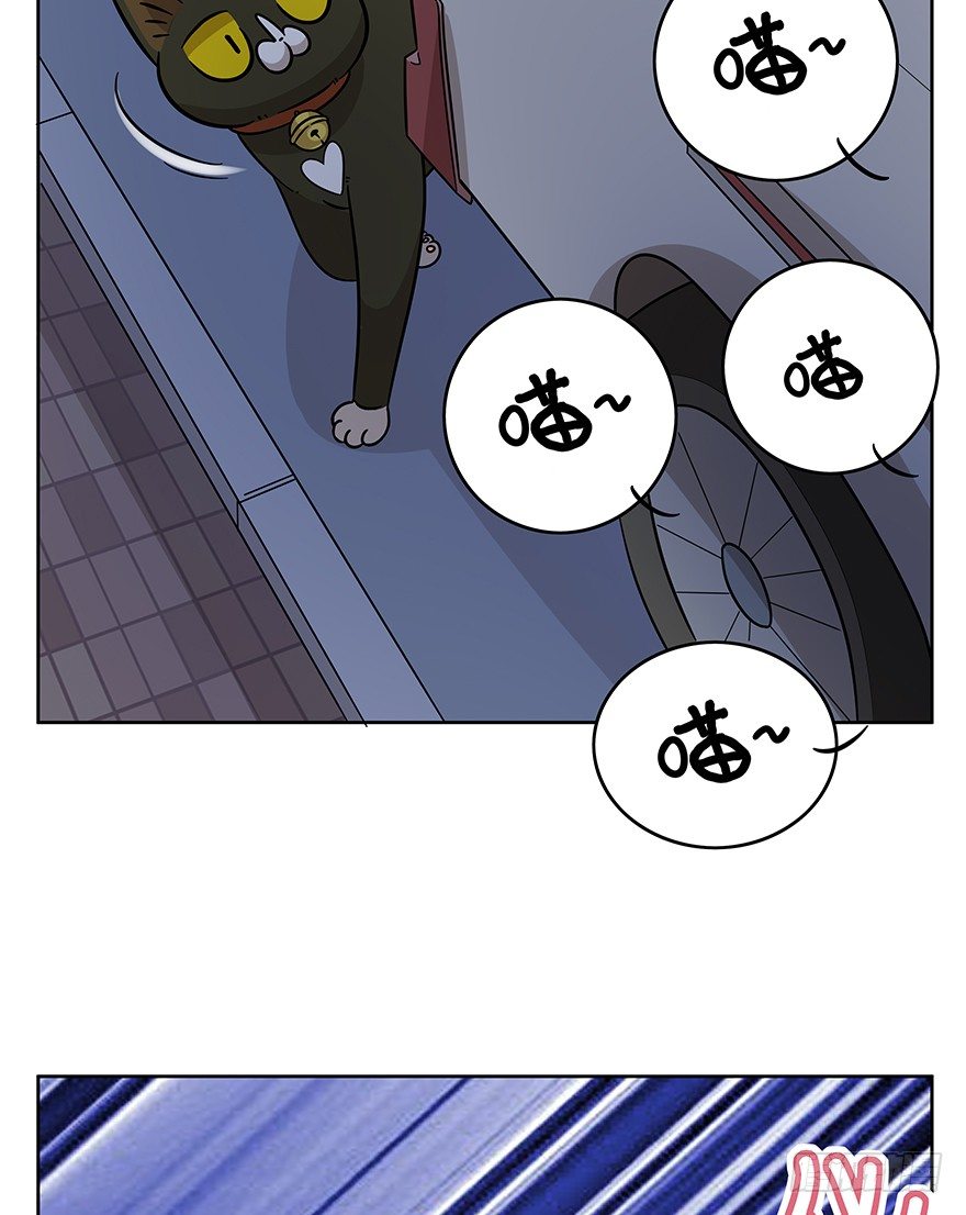 《回到过去变成猫外传》第99爪 中计了 第39页