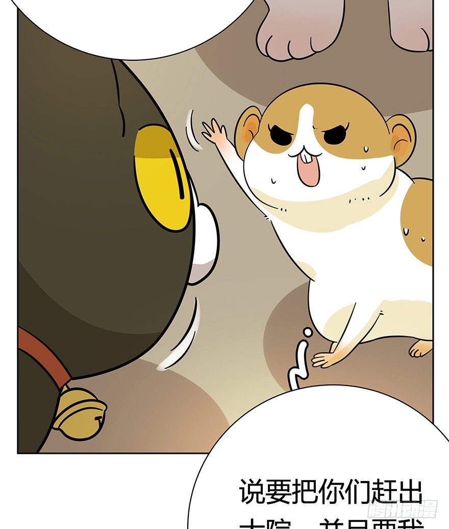 《回到过去变成猫外传》第99爪 中计了 第6页
