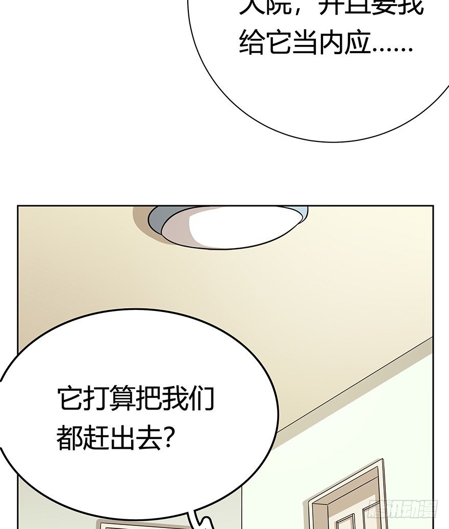 《回到过去变成猫外传》第99爪 中计了 第7页
