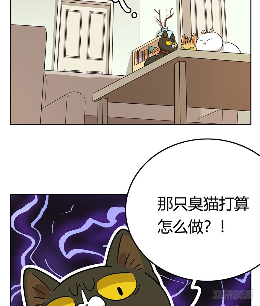 《回到过去变成猫外传》第99爪 中计了 第8页