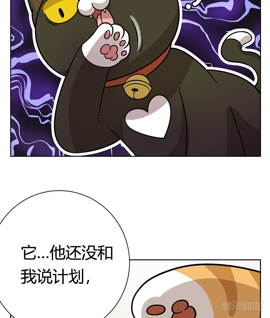 《回到过去变成猫外传》第99爪 中计了 第9页