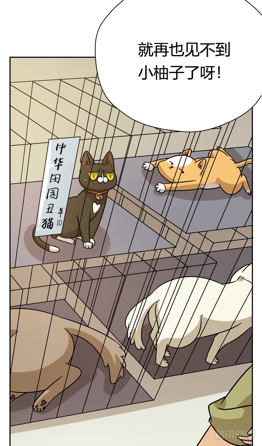 《回到过去变成猫外传》第100爪 黑炭的真相 第11页
