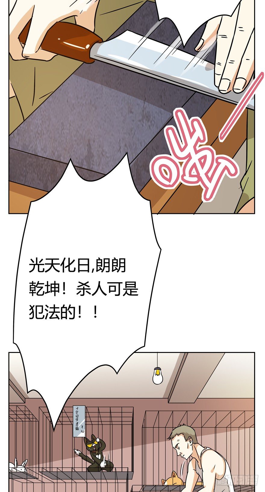 《回到过去变成猫外传》第100爪 黑炭的真相 第17页