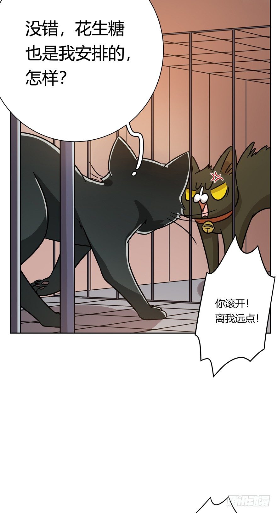 《回到过去变成猫外传》第100爪 黑炭的真相 第22页