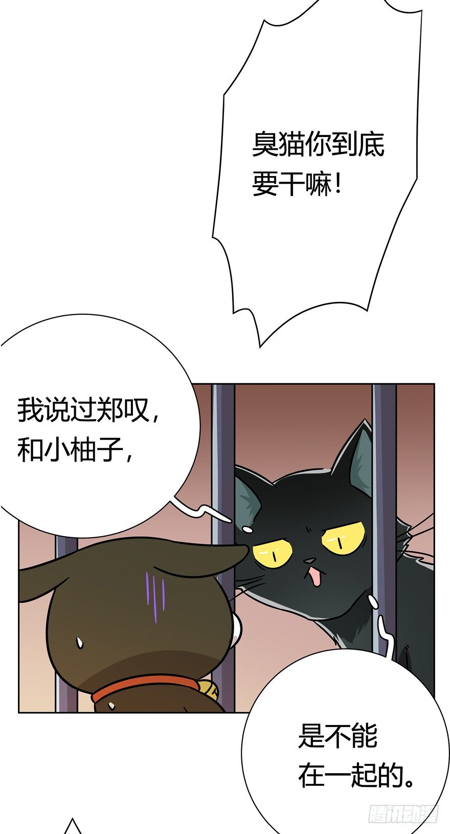 《回到过去变成猫外传》第100爪 黑炭的真相 第23页