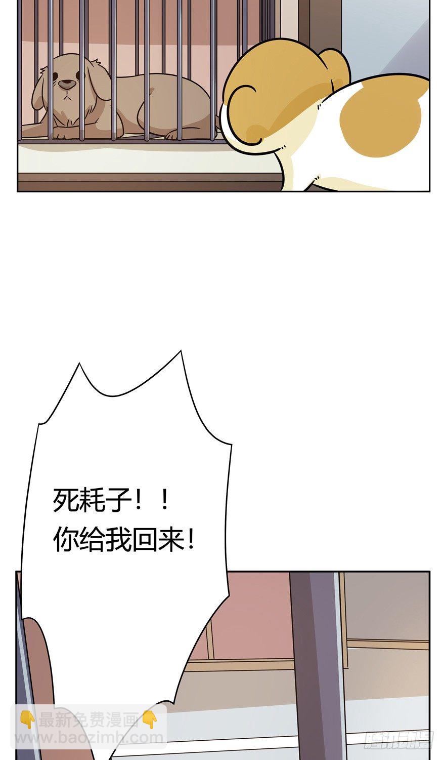 《回到过去变成猫外传》第100爪 黑炭的真相 第7页