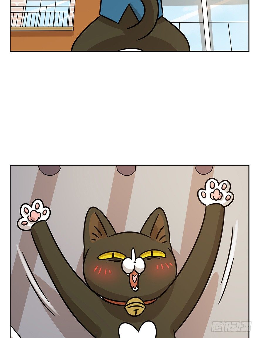《回到过去变成猫外传》第102爪 抉择（上） 第18页
